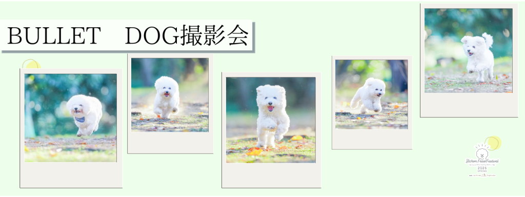 BULLET DOG撮影会