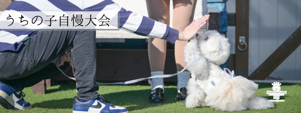 うちの子自慢大会