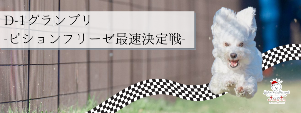 D-1グランプリ – ビションフリーゼ最速決定戦 –