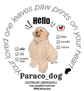 Paraco_dog