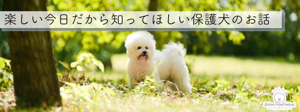 楽しい今日だから知ってほしい保護犬のお話