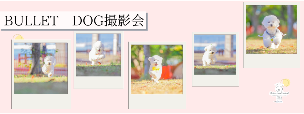BULLET DOG撮影会@大阪北港マリーナ
