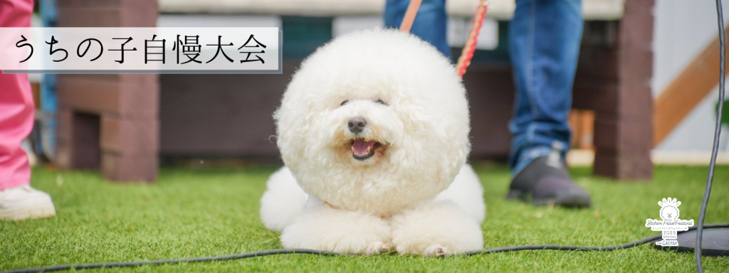 うちの子自慢大会@大阪北港マリーナ
