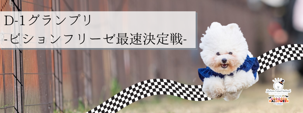 D-1グランプリ – ビションフリーゼ最速決定戦@大阪北港マリーナ