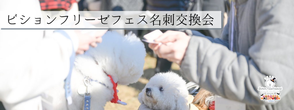 ビションフリーゼフェス名刺交換会@大阪北港マリーナ