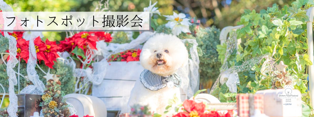 フォトスポット撮影会@大阪北港マリーナ