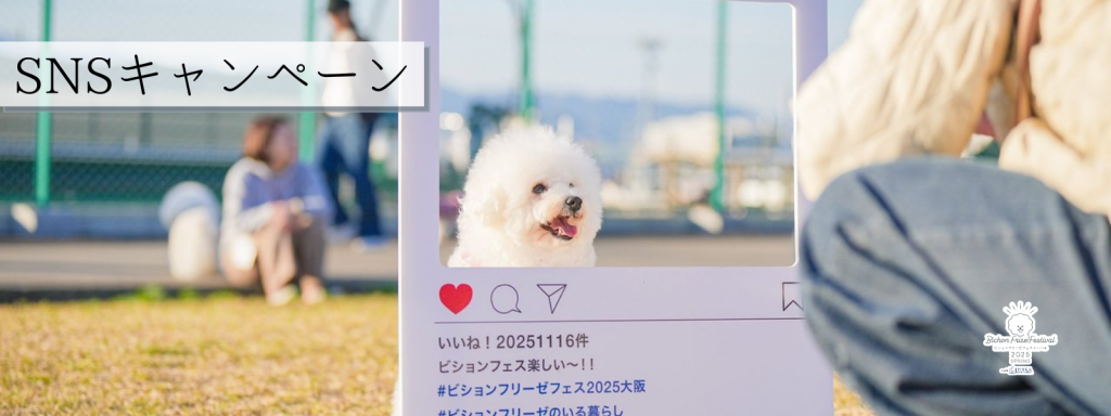 SNSキャンペーン@大阪北港マリーナ