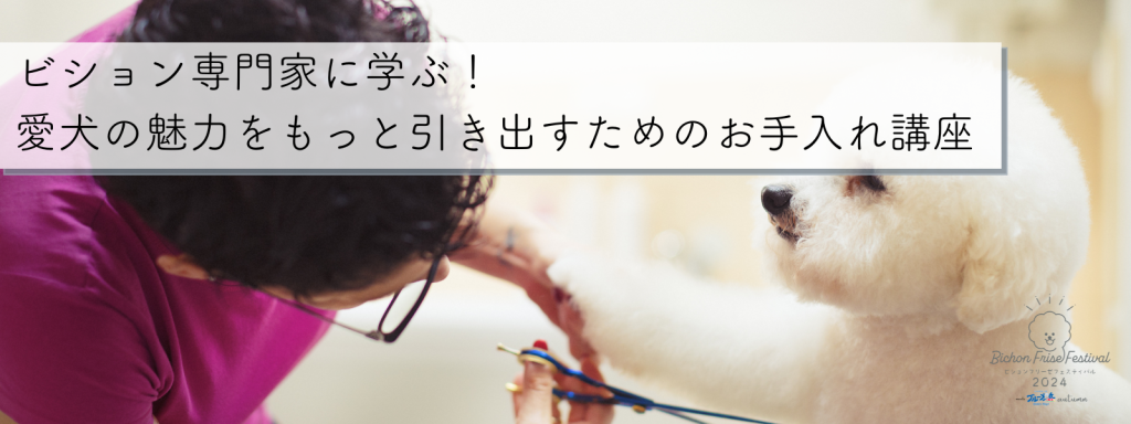 ビション専門家に学ぶ！愛犬の魅力をもっと引き出すためのお手入れ講座