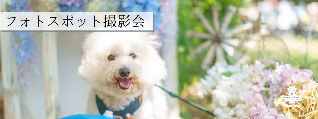 フォトスポット撮影会