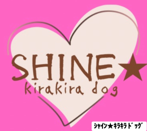 SHINE★kirakira Dog