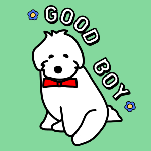 GOOD BOY