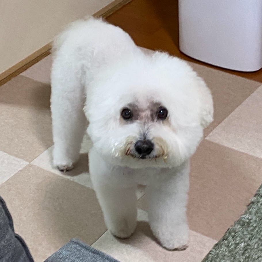 げんくん