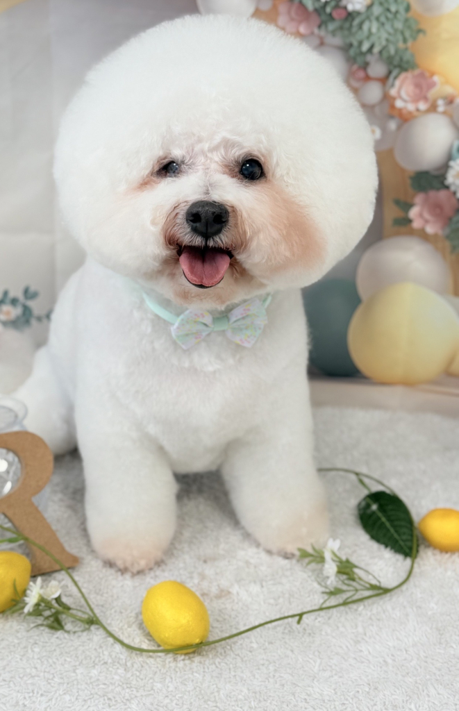 雪くん