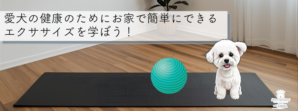 愛犬の健康のためにお家で簡単にできるエクササイズを学ぼう！