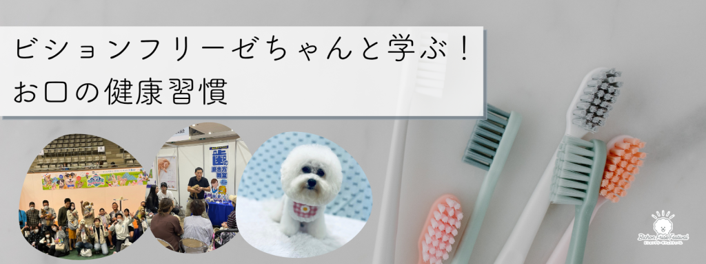 ビションフリーゼちゃんと学ぶ！お口の健康習慣