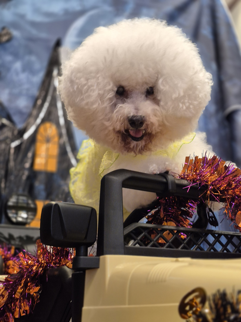 ユータタルルくん