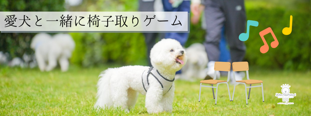 愛犬と一緒に椅子取りゲーム