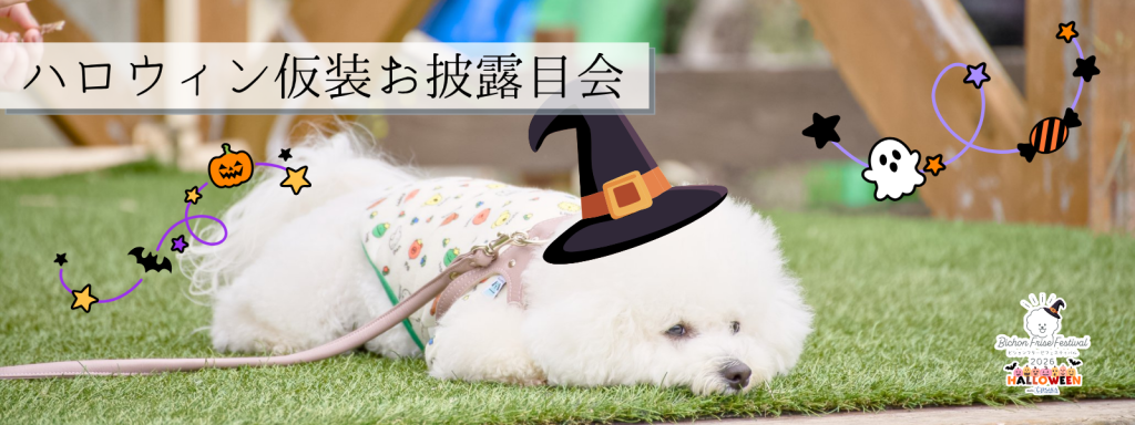 ハロウィン仮装お披露目会