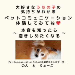 ペットコミュニケーション