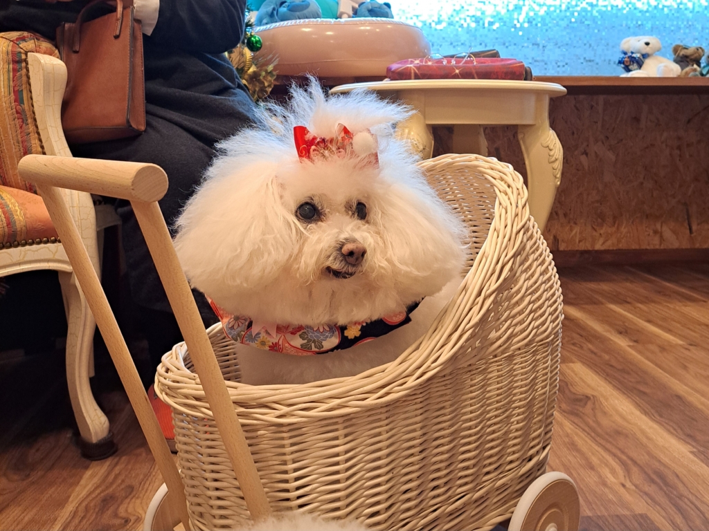 のんほちゃん