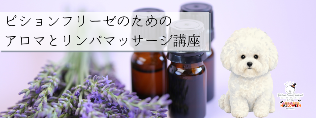 ビションフリーゼのためのアロマとリンパマッサージ講座